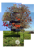 tree-1.jpg