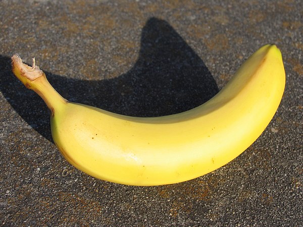 The Banana Banana