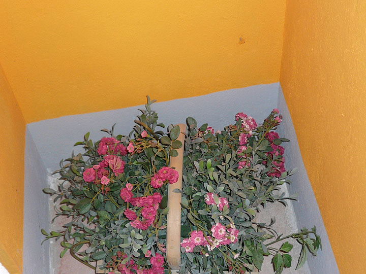 P1030757