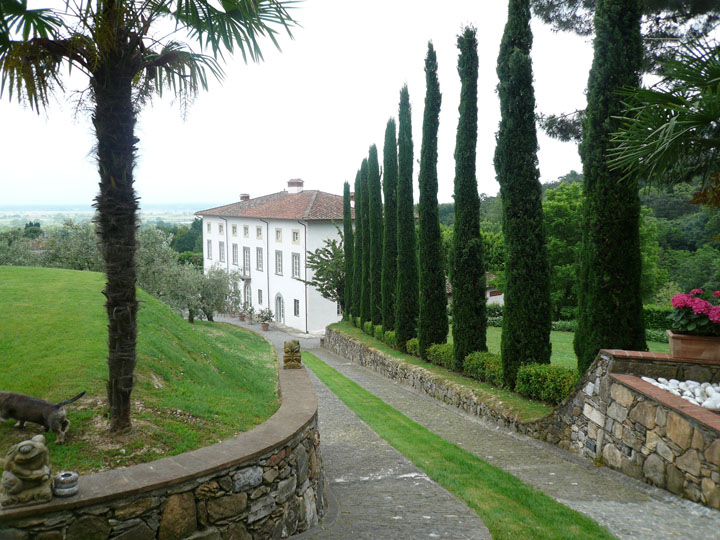 P1030826