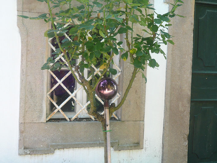 P1040141