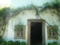 P1040102